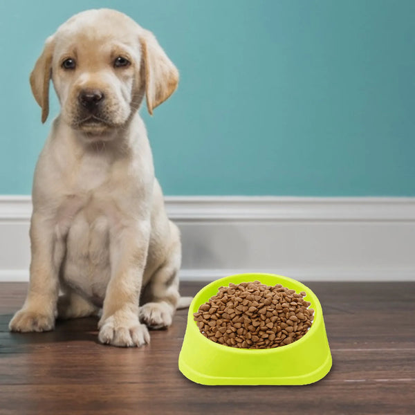 Anti-Slip Slow Feeder Pet Bowl